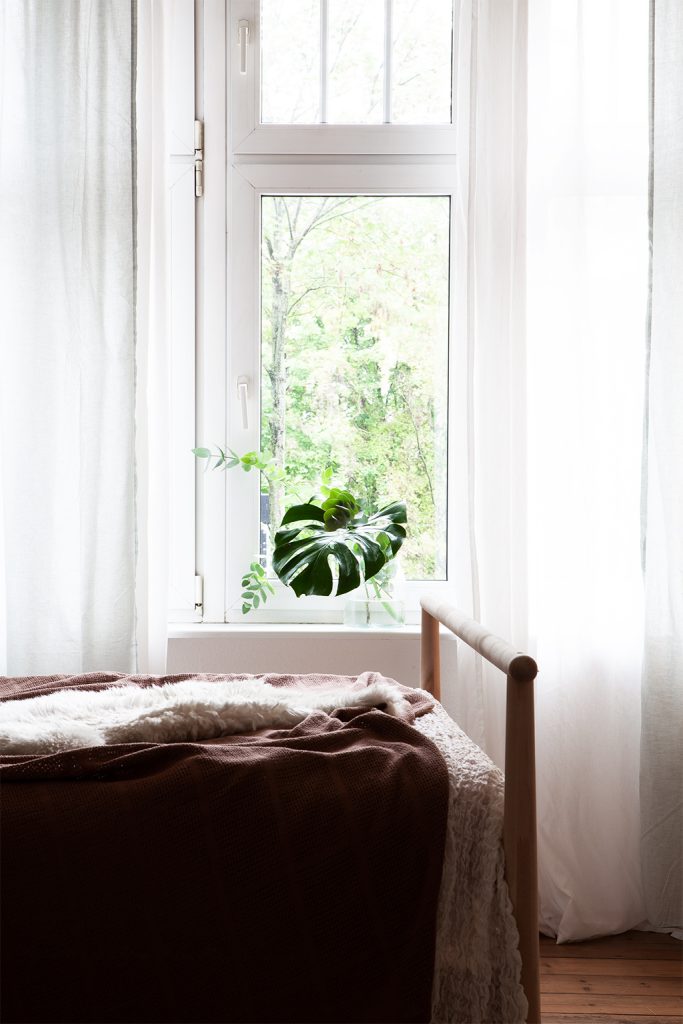 Bett mit Monstera Pflanze auf Fensterbrett