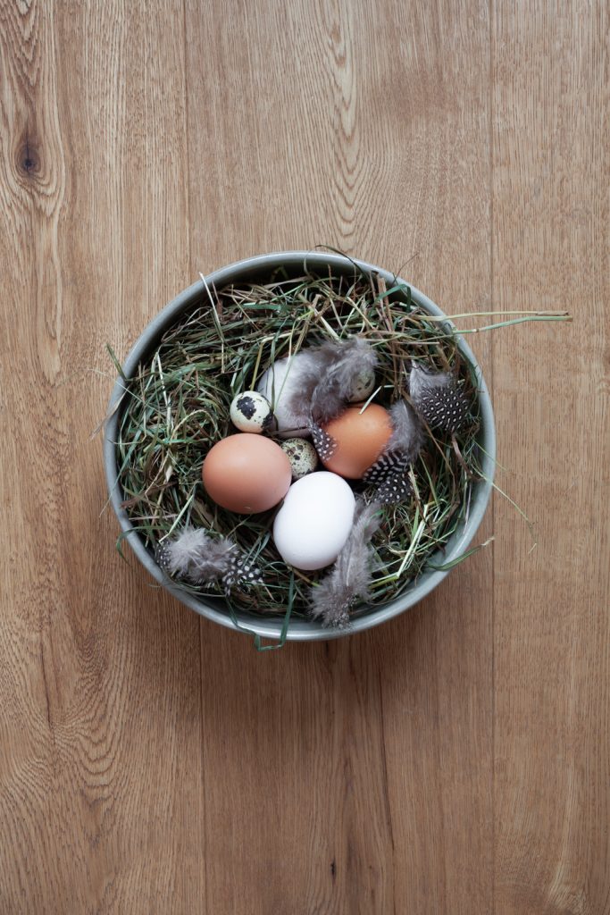 Natürliche Ostern mit Osterschale, Eiern, Wachteleier und Federn auf Holzfußboden